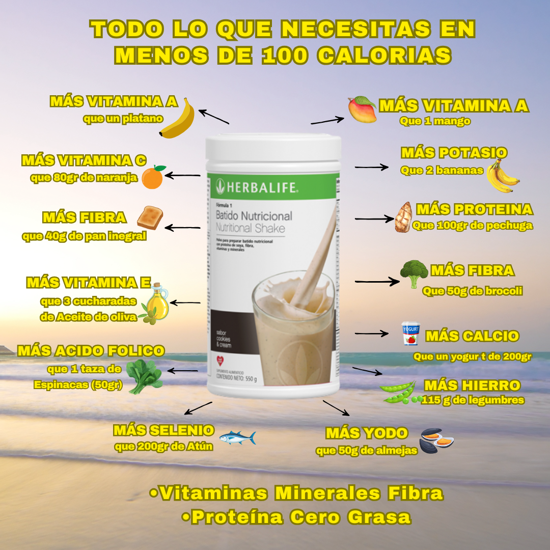 Batido Nutricional a base de Proteina Vegetal